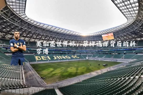 美加墨世界杯:草坪选择背后的科学博弈