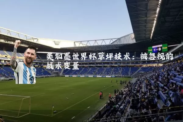 美加墨世界杯草坪技术:被忽视的战术变量